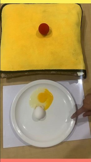 Impulse Explained with Ball & Egg Experiment 🥚⚽ | Why Contact Time Matters! | 9 Physics #shorts