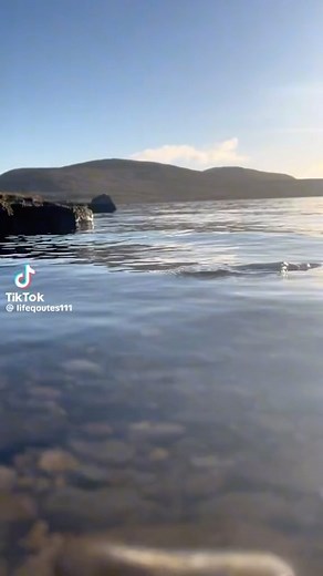 4.7K views · 64 reactions | Hey y’all!! Sorry for the delay but I believe love is 24/7 365 and 12 and y’all know 7 is my number! Happy Valentines Day, Week, Month and Year! | Gary "Lil G" Jenkins | Facebook