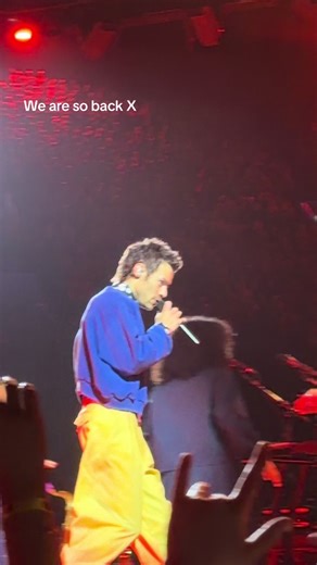 Harry Styles Fan Reaction and Commentary