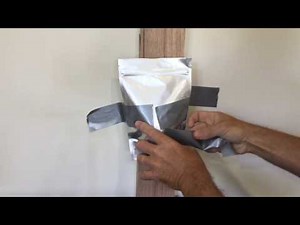 QueenKiller Termite Bait and Attachment Device for Treatment