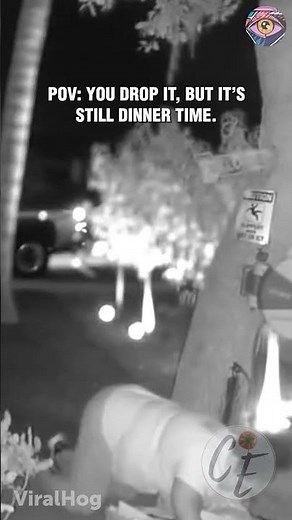 Pizza Delivery Gone Wrong: Epic Long-Distance Fall! 😱🍕