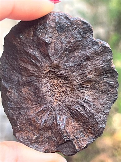 FLYING Meteorites %SALE >>>genuine Natural Meteorite *4.5 Billion Years Old Space Rock >>>ideal Gift <<< - Etsy