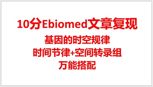 A-10分Ebiomed文章复现-基因的时空规律-时间节律+空间转录组分析