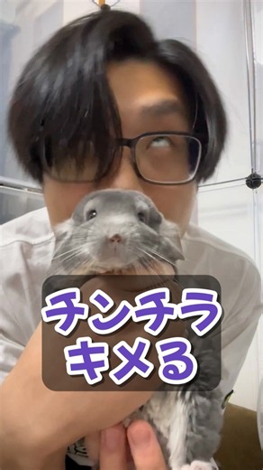【閲覧注意】チンチラ飼いが無意識にやってしまう末期症状10選