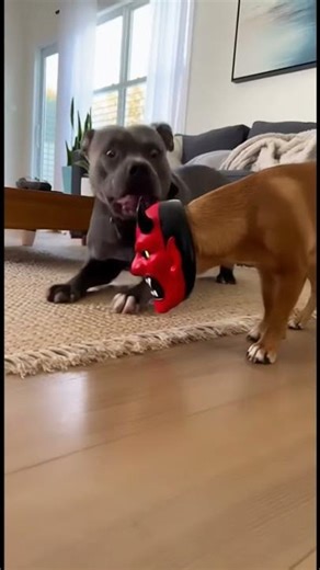 Dog in Devil Mask Scares Sleeping Pitbull! 👹🐶 (AI Video)