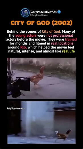 Behind the Scenes of City of God