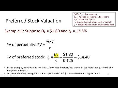 Valuation of Preferred Stock