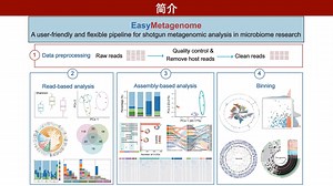 iMeta | 刘永鑫/陈同/李国梁/陈实富/文涛等发布易宏基因组(EasyMetagenome)：微生物组研究中用户友好且灵活的宏基因组测序数据分析流程