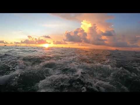 KEY WEST - #keywest #keywestflorida #vibe #vibes #island... #Shorts #keezymedia