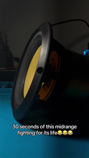 Midrange Speaker Battling It Out: A Bass Test Experience