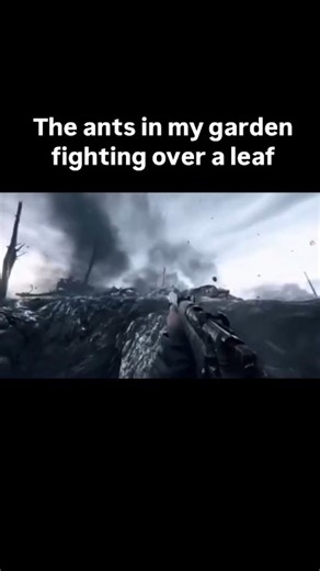 Memes I Stole From Discord PT 59 #discordmemes