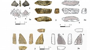 400,000-Year Innovation: The Oldest Ivory Tools Ever Found