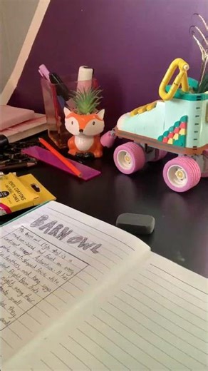 Drawing a barn owl!! 🦉💕