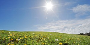2025 is already the UK’s sunniest spring on record
