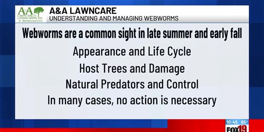Understanding and managing webworms