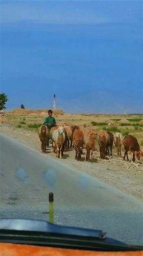Road to Bagram Air Base 🇦🇫 | A Journey Through History #shorts #shortsfeed #afghanistan #kabul