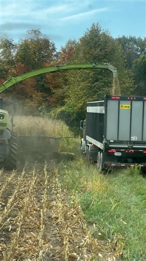 Marc Johnson on Reels