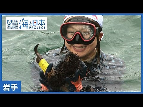 #14 伝統の漁法を今に…海女の素潜り｜海と日本PROJECT in 岩手県