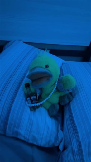 Do Dumplings Wear Thongs? A Funny Puppet Sketch