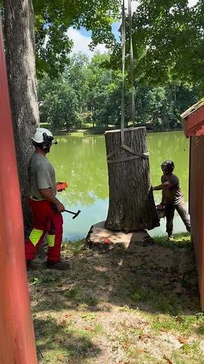 Like a machine 💪🏼🌳 #estatetreeservice #tree #treeservice #trees #treecare #arborist #arboristsofinstagram | Estate Tree Service L.L.C.