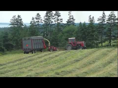 Silage 2012 - Massey Ferguson tractors - 1080p HD
