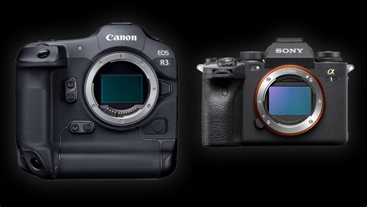 Canon R3 Versus Sony a1: Which Has Better Autofocus?