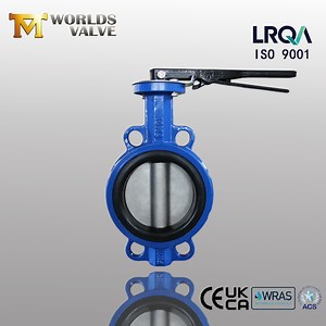 [Hot Item] Resilient Seated Cast Iron Ductile Iron Ggg40 Ggg50 Handle Wafer Butterfly Valve Without Pin