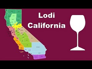 What is Lodi wine?
