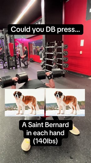 How strong are you really? Benching random objects.. #lifting #gym #benchpress