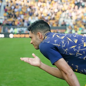 127K views · 8.6K reactions | The Wolves family  | Wolverhampton Wanderers FC | Facebook