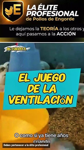 4.5K views · 69 reactions | El método más fácil para entender la ventilación en los pollos den Engorde  #pollosdeengorde #pollos #animalproductionslovers #polllosdeengorde #pollosvirales Sígueme para más consejos profesionales ✍ | Ing Esneider Rivera R | Facebook