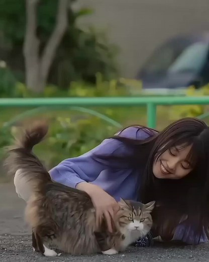 Obsessed With Cats: A Girl's Love for Feline Friends