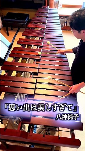 マリンバ1台で1人再現『思い出は美しすぎて』八神純子