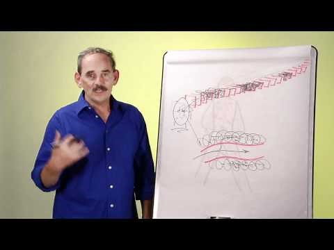 How Long Do Drugs Stay in your System? | Drug Facts & the Body