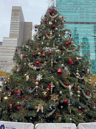 Bryant Park on Reels