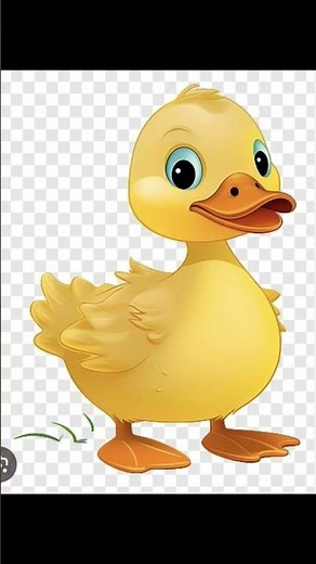 Neighborhood Animals (2001 DVD) 60fps