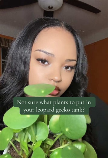 Choosing the Best Plants for Your Leopard Gecko Tank