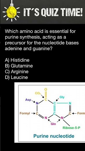 Purine synthesis: which amino acid is a precursor for the nucleotide bases adenine and guanine?