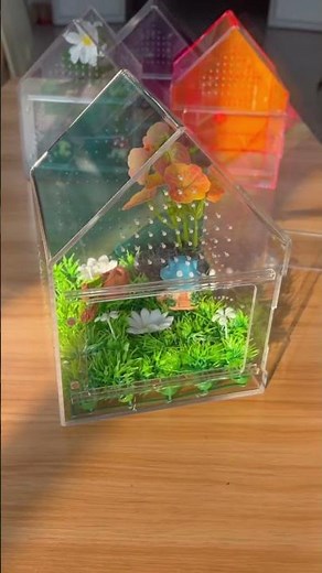 Decorating My Spider Enclosure Step by Step 🕷️✨ | Cozy Mini Habitat Setup