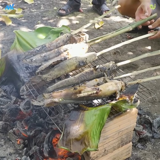 Bắt cá nướng mọi, về quê ăn Tết | Nét Quê Channel