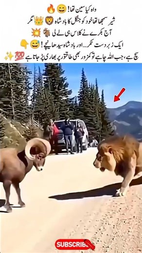 Goat vs Lion Shock! King Falls Hard 🐐🦁🔥 #Viral #AnimalFight