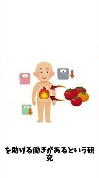 【現役看護師が教える！】トマトを食べると美容にいい⁉トマトを食べるメリットを解説