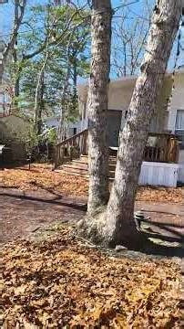 Going out Memory Lane 2026