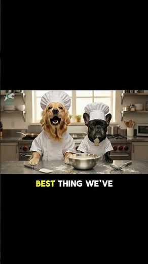 Ice Cream Recipe For Dogs: Ingredients: 2 ripe bananas, 1 cup plain yogurt, 1/2 cup peanut butter