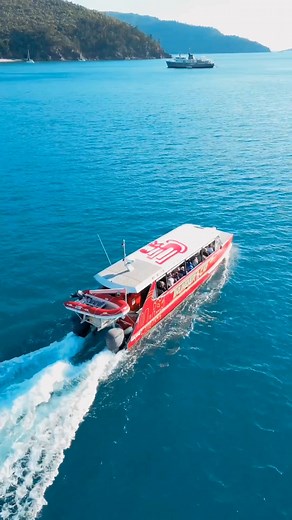 A day out with Red Cat Adventures, Thundercat. 🚤 Experience an exhilarating 'Adventure of a Lifetime tour around the Whitsunday Islands with Red Cat Adventures. See the hidden and world-famous Whitsunday gems with two jaw-dropping snorkelling stops and a trip to the famous Hill Inlet and Whitehaven Beach. 📍 Whitsunday islands 📸 @mrwhitsundays @redcatadventures #lovewhitsundays #adventureairlie #thisisqueensland #seeaustralia #visitwhitsundays #travelphotography #traveldestinations #beautifuld