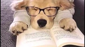 Unity主程进阶之路 V2023 大厂架构/分布式/热更新/性能优化/ECS（lj736519）