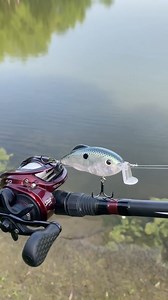 8.2M views · 6K reactions | "Bass Candy for sure‼️ The Hybrid Hunter Jr landed some solid fish for me last weekend! This color and action of this lure is !" -fishing_the_lonestar | Strike King Lure Company | Facebook