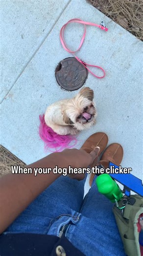 The clicker truly is a game changer. The focus shifts… the engagement...