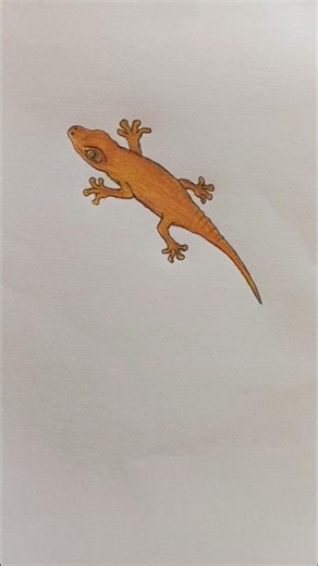 Chhipkali ka drawing kaise banate hain🦎 how to draw gecko🦎#shorts #drawing #chhipkali #gecko #viral