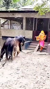 #funnyvideo #reels #prank So funny 🤣🤣🤣 | Bai Taal funny videos